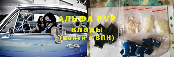 круглые Белокуриха