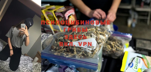 дживик Беломорск