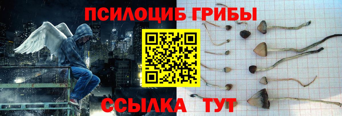 Псилоцибиновые грибы Magic Shrooms Острогожск