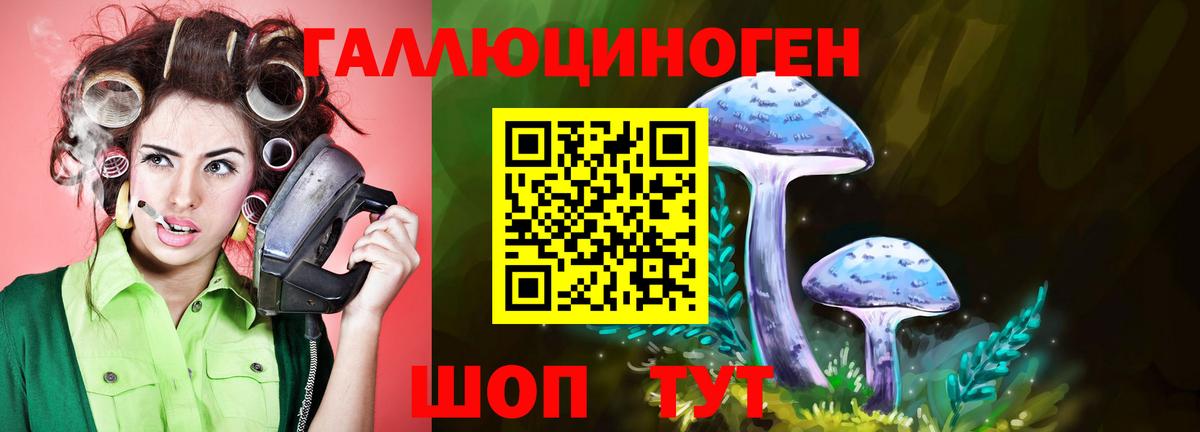 наркошоп  Галлюциногенные грибы прущие грибы  Острогожск  Вход с VPN  Галлюциногенные грибы мухоморы 